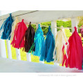 Hanging Tissue Paper Tassel Garland, Paper Garland for party Decoration